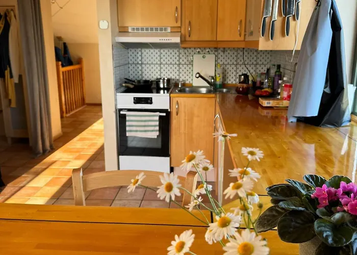 Apartment mit 1 Schlafzimmer